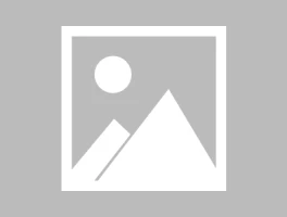 Crypto News: Trump's "Who?" and ETF Delays